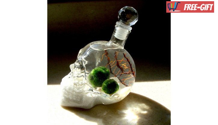 Стъклена бутилка "Череп" снимка #3