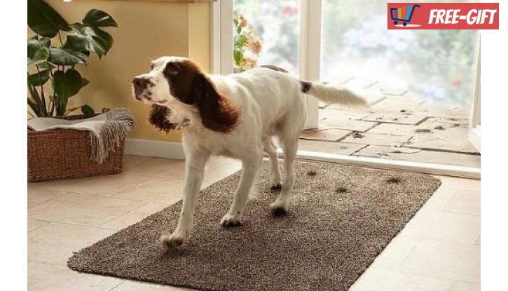 Абсорбиращо мръсотията килимче за входната врата super clean mat снимка #3